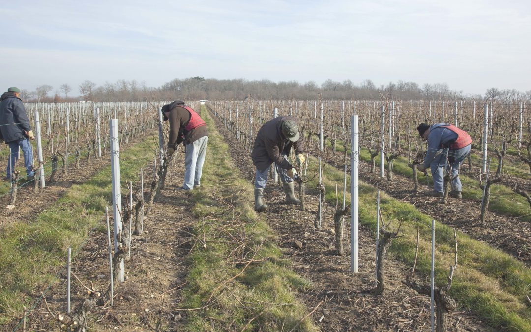 Les travaux d’hiver