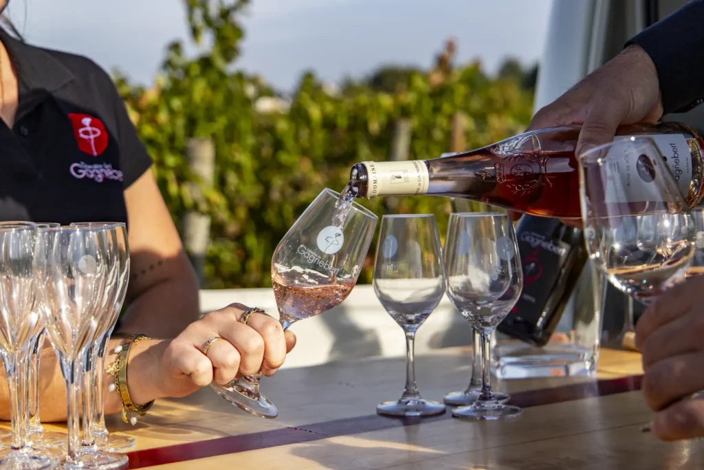 Dégustation de vins d'Anjou au Domaine de Gagnebert