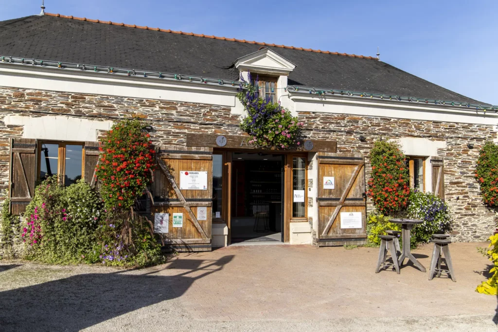 Vignoble du Domaine de Gagnebert en Anjou