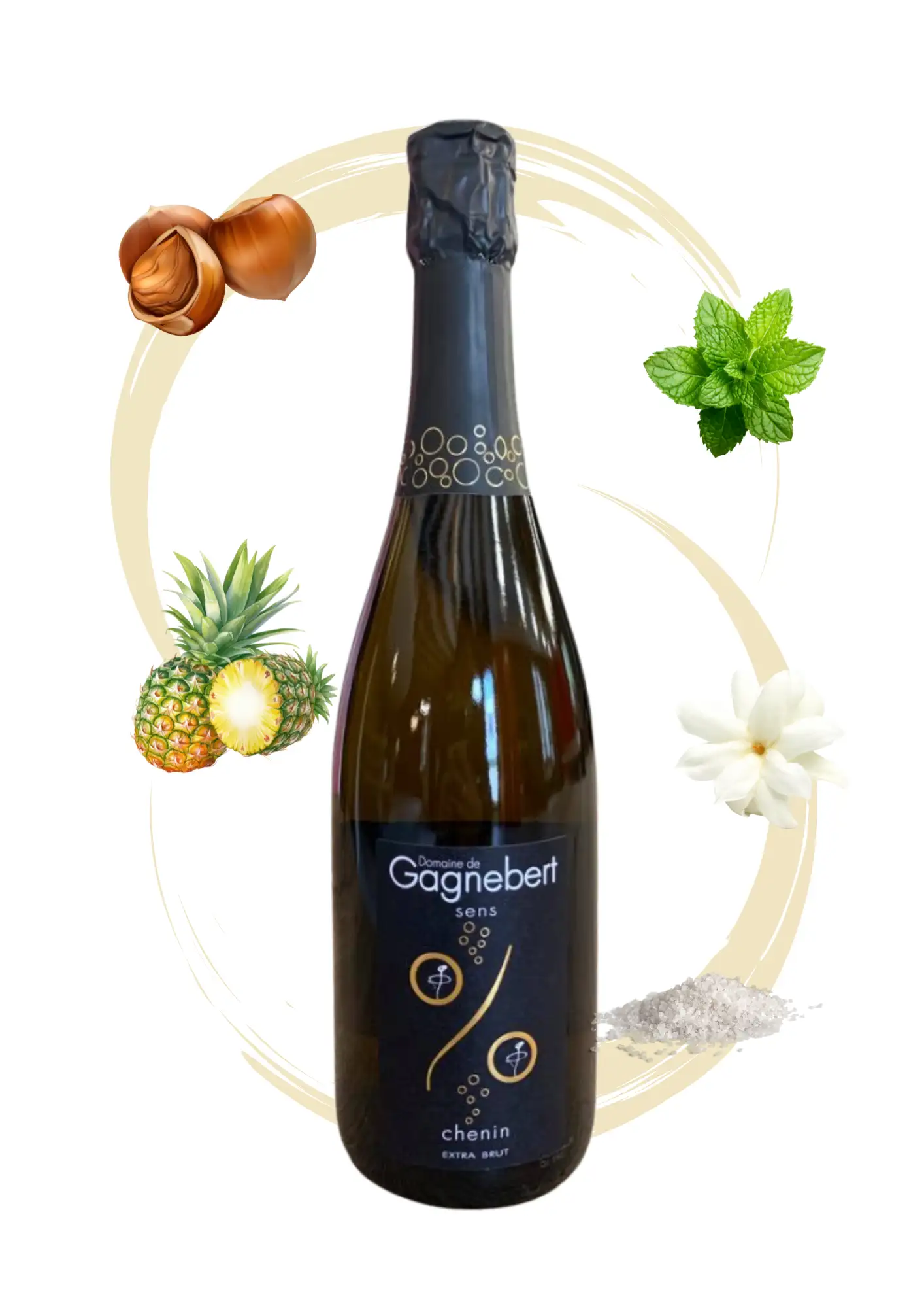 Crémant de Loire - Vins effervescents Domaine Gagnebert Anjou - Arôme noisette, menthe et ananas