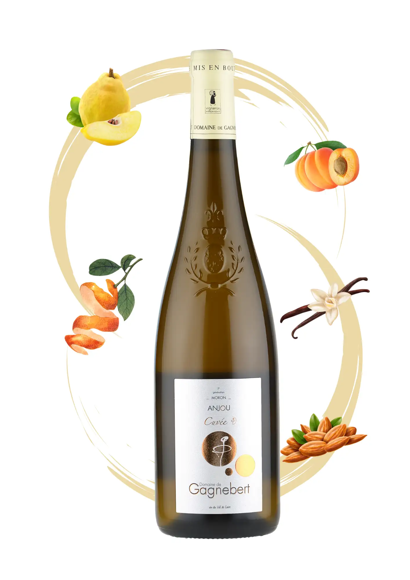 Anjou blanc sec Cuvée G - Vin blanc élevé en fût Gagnebert - Arôme poire, abrico, écorce d'orange, vanille et amande