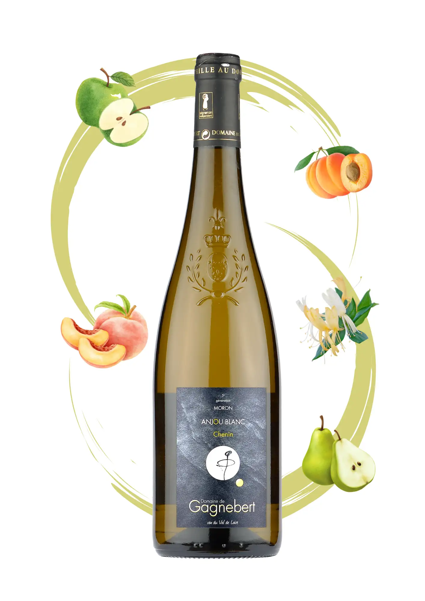 Anjou blanc sec Tradition - Chenin blanc Domaine Gagnebert - Arôme pomme, abricot, pêche et poire