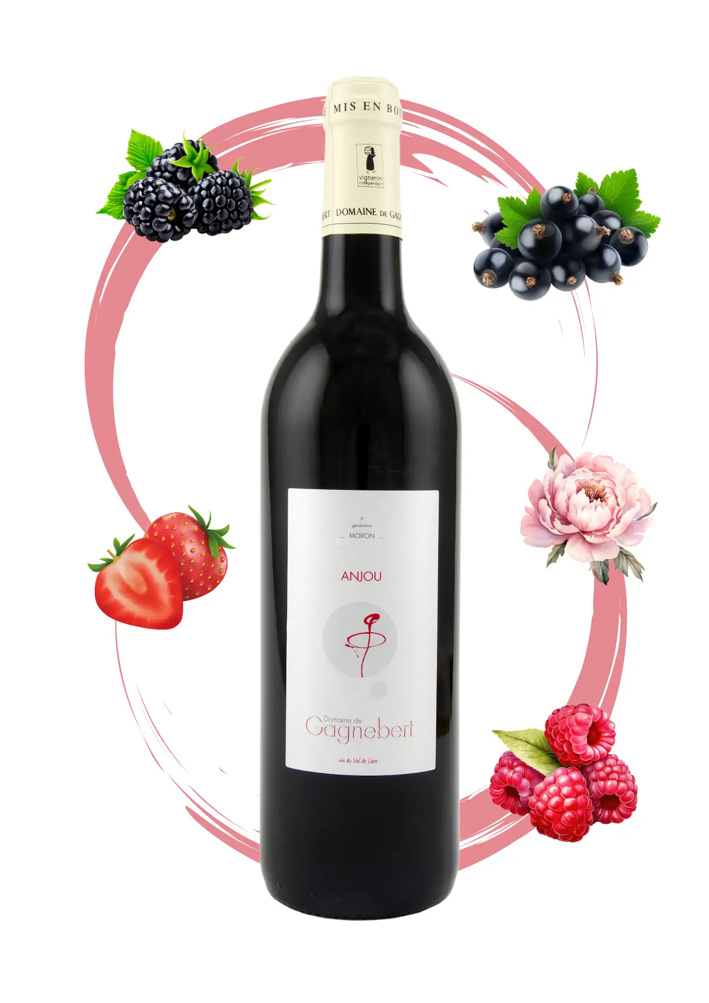 Anjou rouge Cabernet Franc - Vins rouges légers Gagnebert - Arôme mure, cassis, fraise, rose et framboise