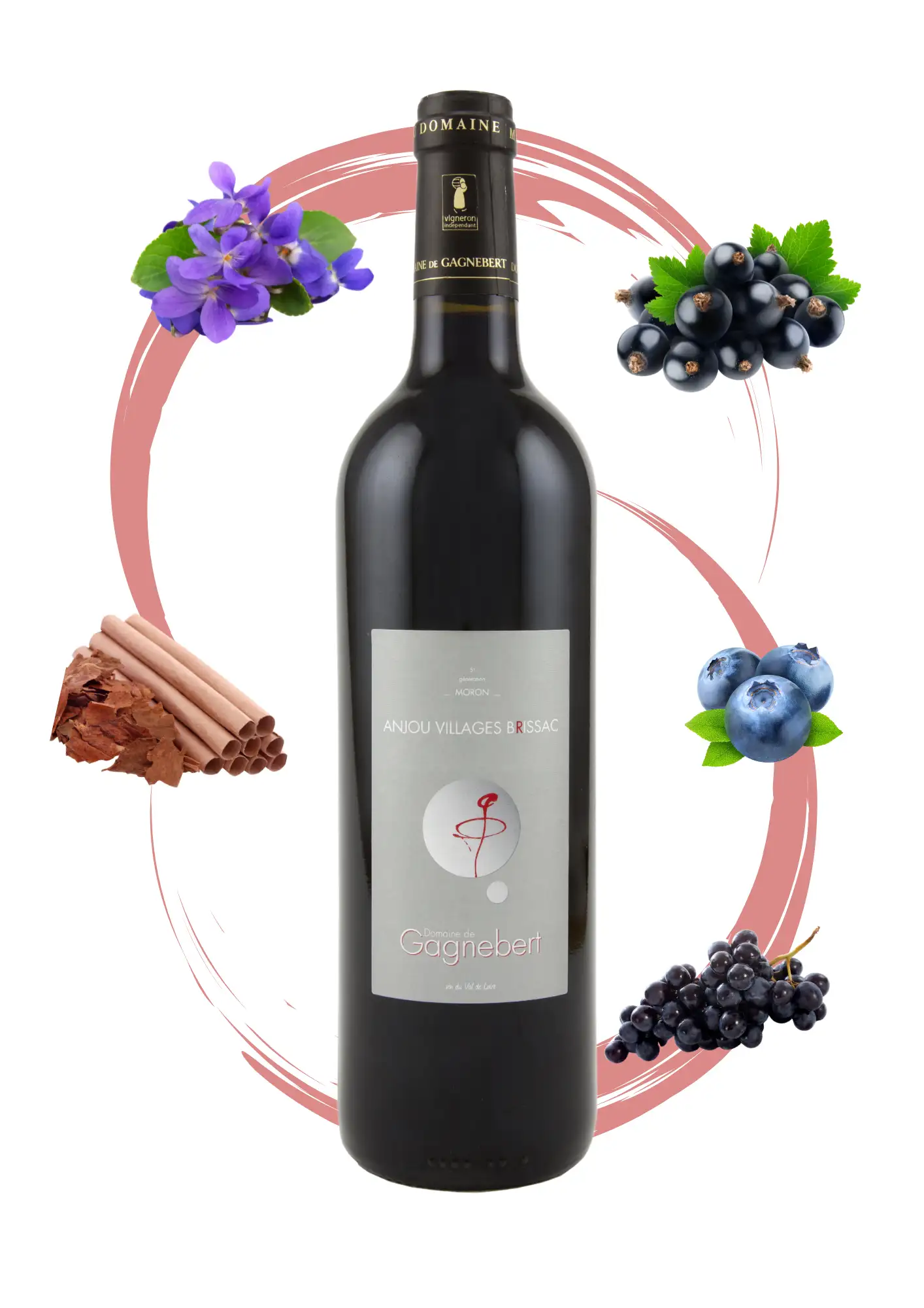 Anjou Villages Brissac - Vin rouge de garde Domaine Gagnebert - Arôme violette, cassis, chocolat, myrtille et raisin