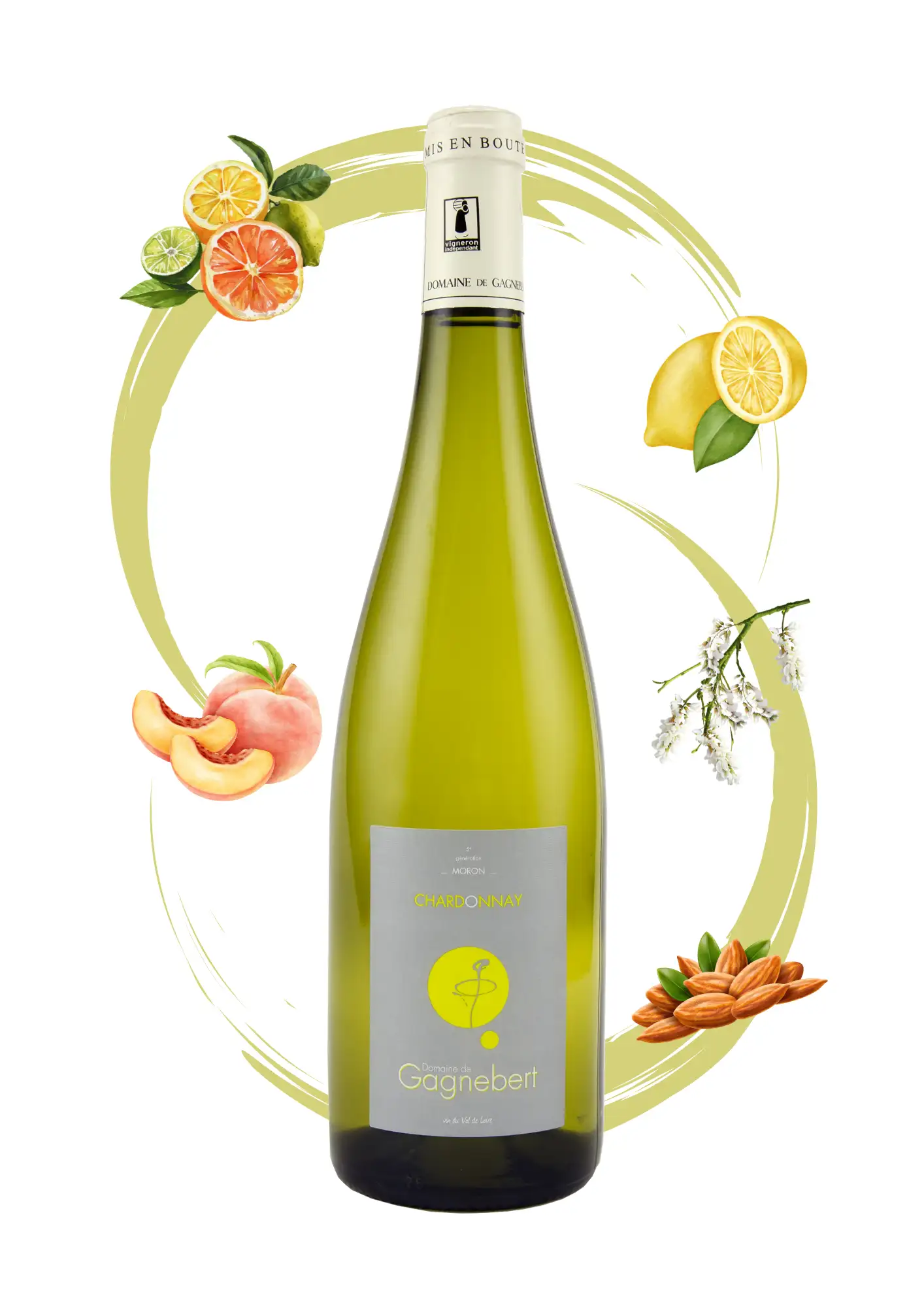 Chardonnay blanc sec - Vins blancs Domaine Gagnebert Anjou - Arôme agrumes, citron, pêche et amande