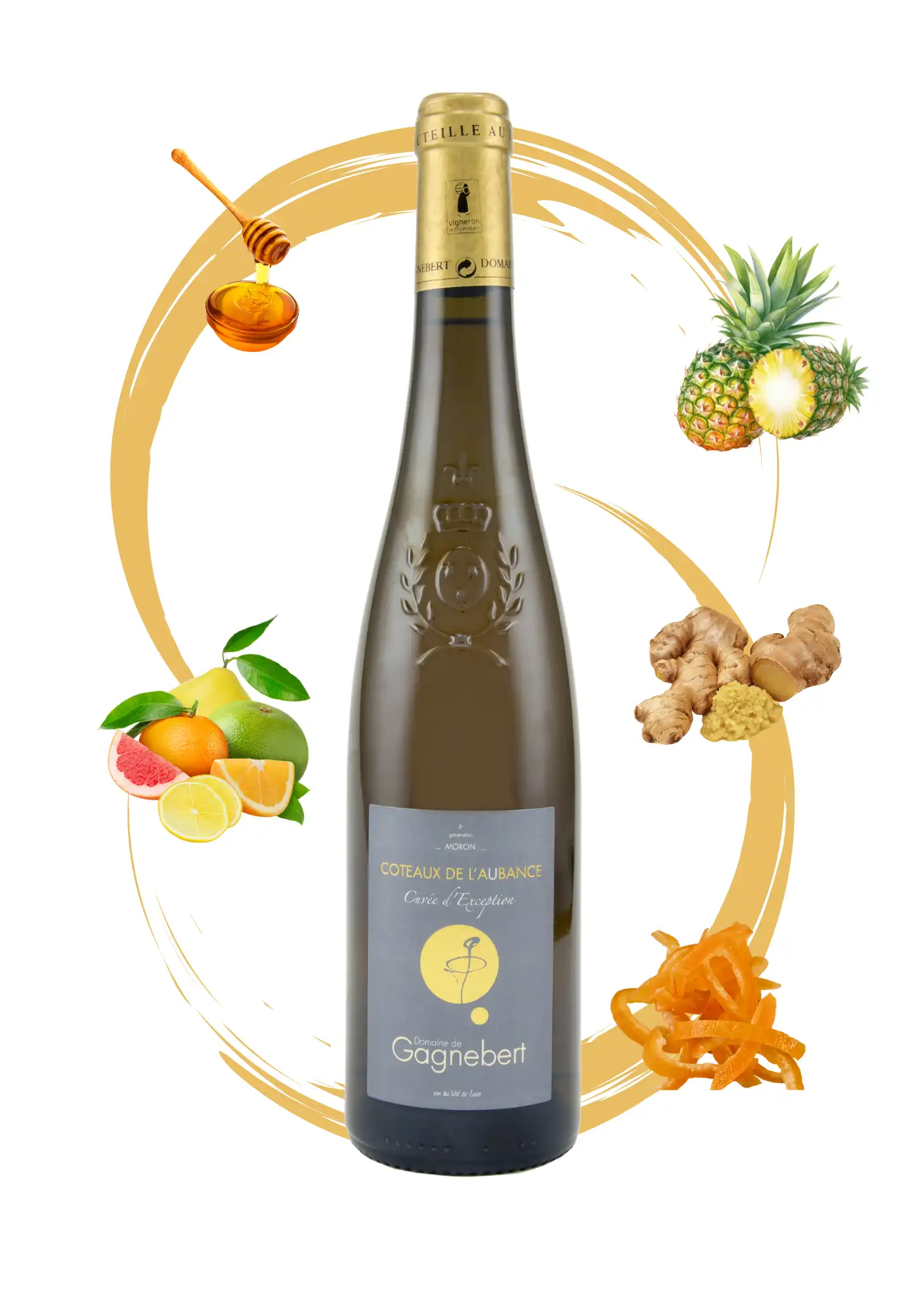 Coteaux de l'Aubance Cuvée d'Exception - Vin moelleux Gagnebert - Arôme miel, ananas, agrumes, gingembre et écorces d'orange
