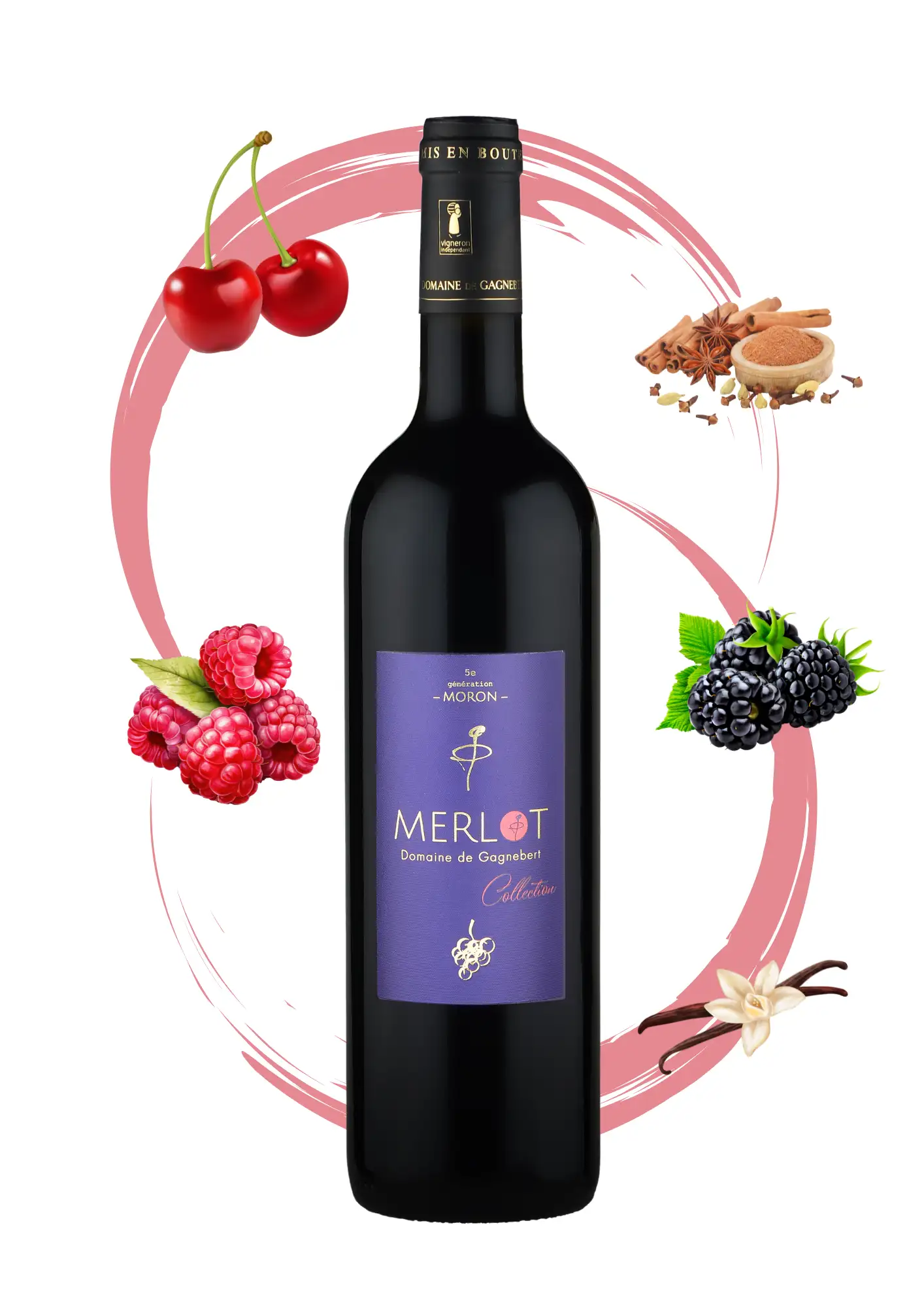 Merlot rouge - Vins rouges Domaine Gagnebert Anjou - Arôme cerise, canelle, anis, framboise, mure et vanille