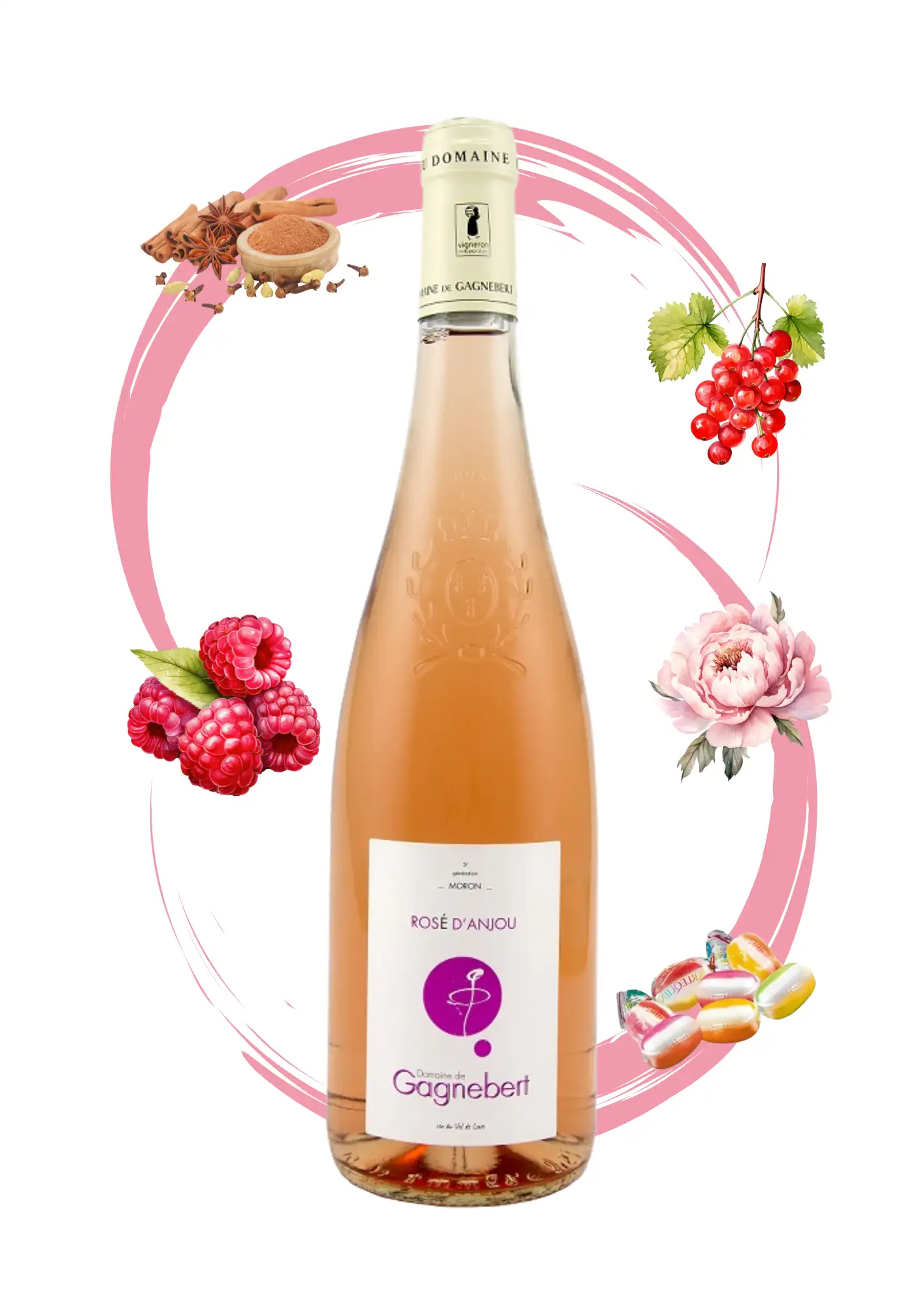 Rosé d'Anjou demi-sec - Vins rosés Domaine Gagnebert - Arôme canelle, anis, groseille, framboise, rose et arlequin