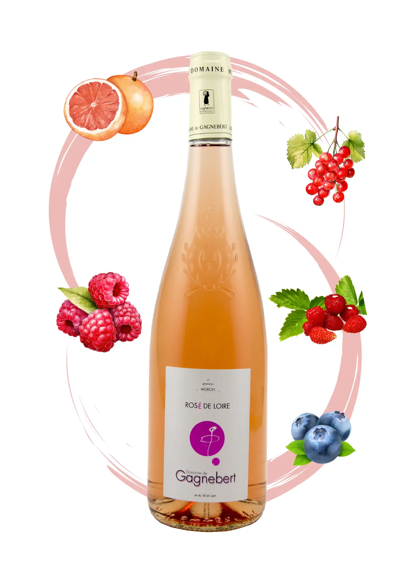 Rosé de Loire - Vins rosés fruités Domaine Gagnebert Anjou - Arôme pamplemousse, groseille, framboise, litchi et myrtille